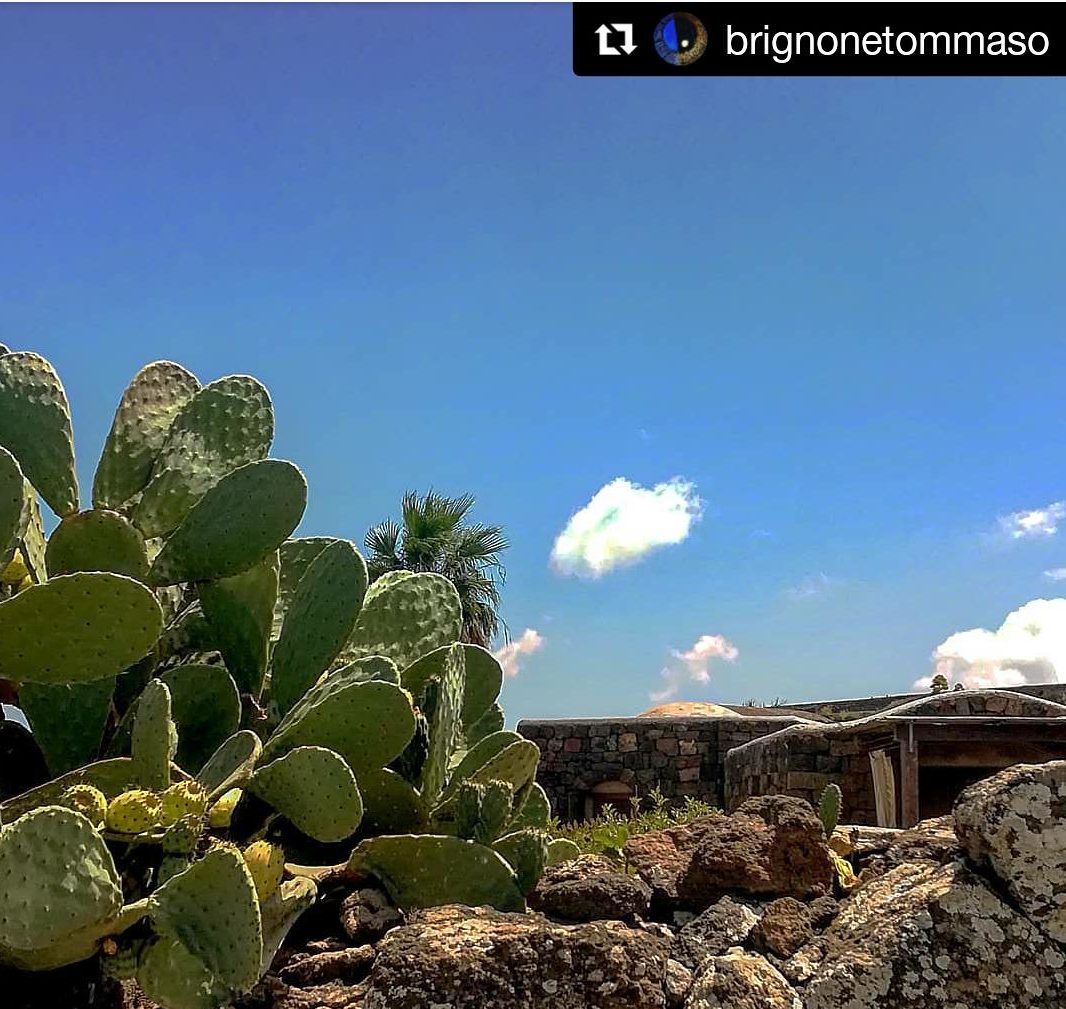 Foto copertina di Brignone Tommaso | IG: @brignonetommaso