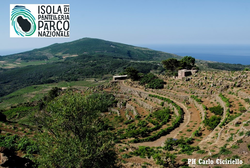 Al via da domani la due giorni giorni del workshop Parco di Pantelleria