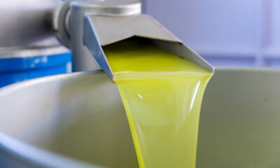 25 anni di Olio DOP Monti Iblei: un racconto di territorio e memoria