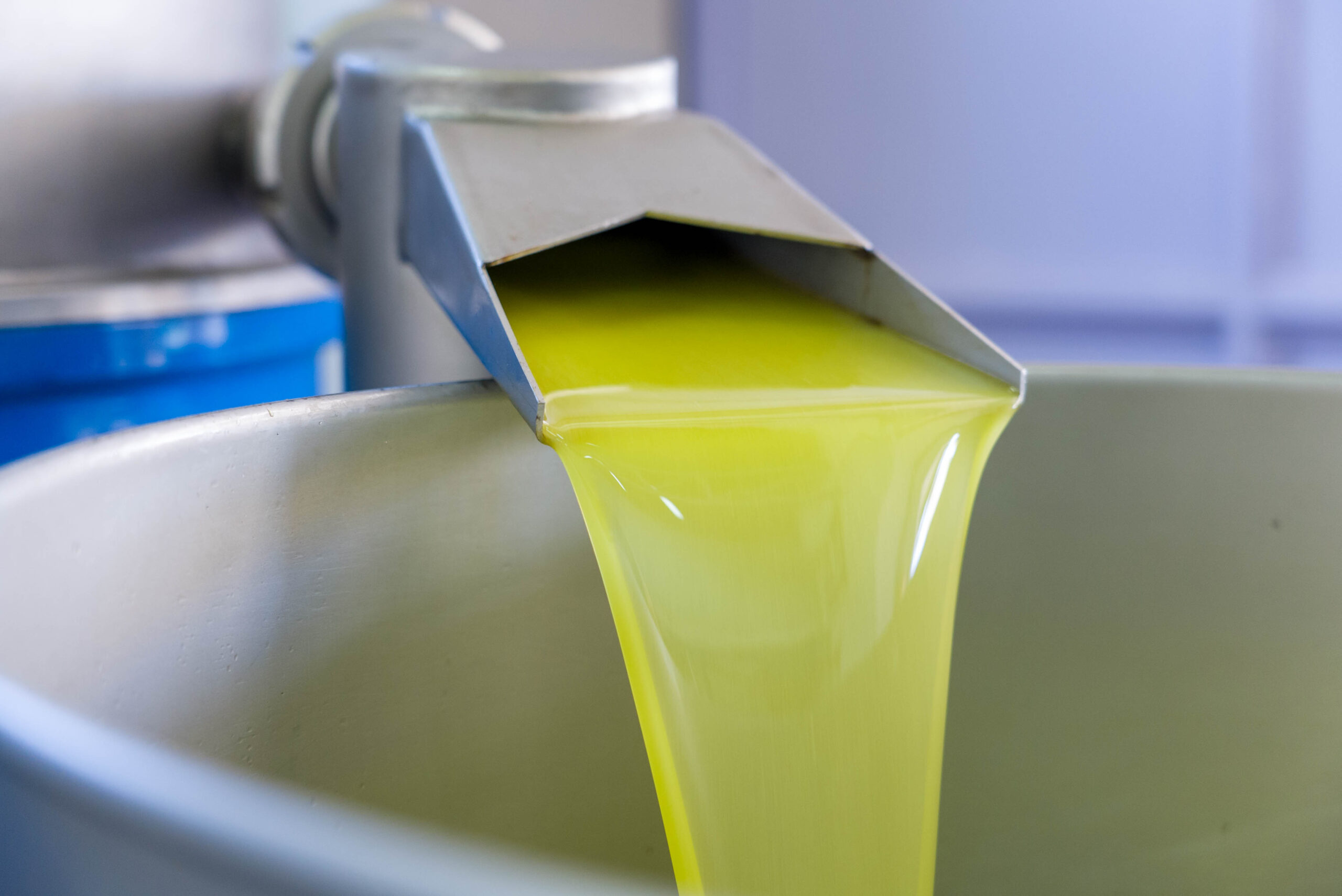 25 anni di Olio DOP Monti Iblei: un racconto di territorio e memoria